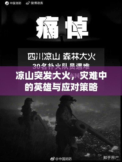 涼山突發(fā)大火，災(zāi)難中的英雄與應(yīng)對(duì)策略