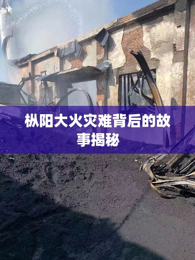 樅陽大火災難背后的故事揭秘