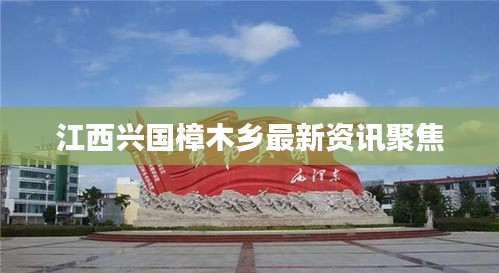 江西興國樟木鄉最新資訊聚焦