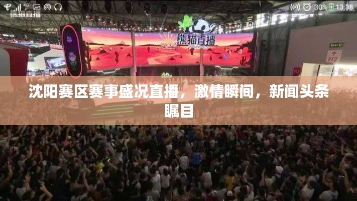 沈陽賽區賽事盛況直播，激情瞬間，新聞頭條矚目