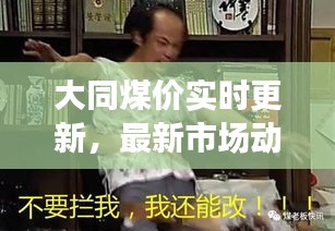 大同煤價實時更新，最新市場動態(tài)揭秘