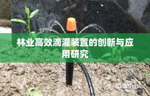 林業高效滴灌裝置的創新與應用研究