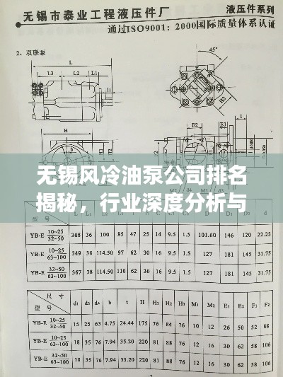 無錫風(fēng)冷油泵公司排名揭秘，行業(yè)深度分析與趨勢解讀