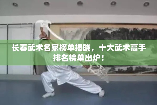 長春武術名家榜單揭曉，十大武術高手排名榜單出爐！