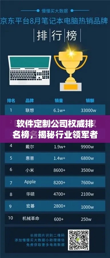 軟件定制公司權(quán)威排名榜，揭秘行業(yè)領(lǐng)軍者的秘密！
