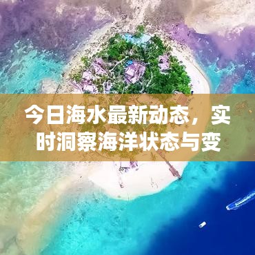 今日海水最新動態，實時洞察海洋狀態與變化