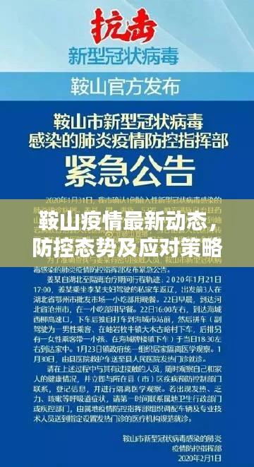鞍山疫情最新動態，防控態勢及應對策略揭秘
