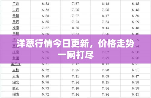 洋蔥行情今日更新，價(jià)格走勢(shì)一網(wǎng)打盡