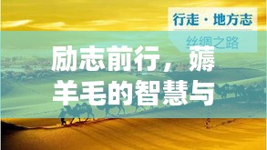 勵志前行，薅羊毛的智慧與行動